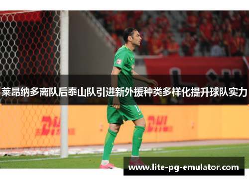 莱昂纳多离队后泰山队引进新外援种类多样化提升球队实力 莱昂纳多离队后泰山队引进新外援种类多样化提升球队实力