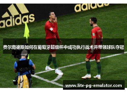费尔南德斯如何在葡萄牙超级杯中成功执行战术并带领球队夺冠