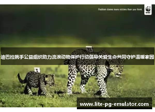 迪巴拉携手公益组织助力流浪动物保护行动倡导关爱生命共同守护温暖家园 迪巴拉携手公益组织助力流浪动物保护行动倡导关爱生命共同守护温暖家园