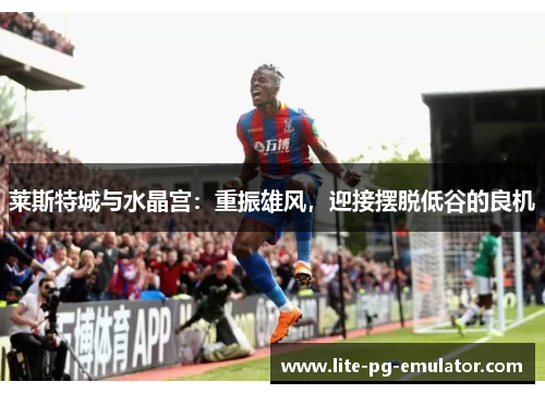 莱斯特城与水晶宫：重振雄风，迎接摆脱低谷的良机