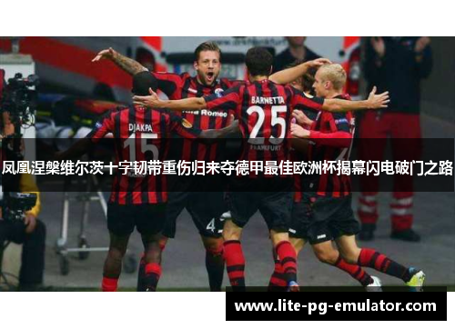 凤凰涅槃维尔茨十字韧带重伤归来夺德甲最佳欧洲杯揭幕闪电破门之路