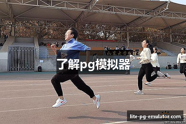 了解pg模拟器